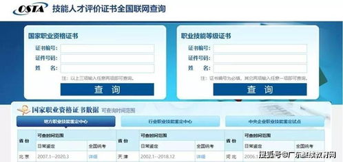 电子商务师对口专业查询