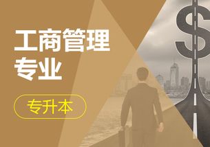 电子商务专业报成人高考