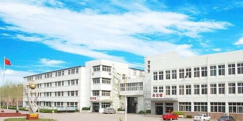 电子商务学校是读什么专业