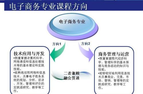 江苏省电子商务专业考研